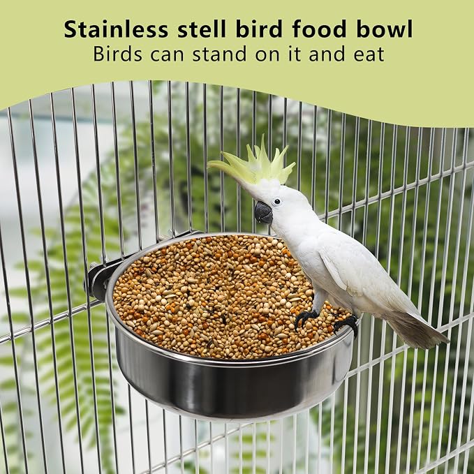 Medium+Large Bird Feeding Dish Cups, Parrot Food Bowl Cage - Image 4