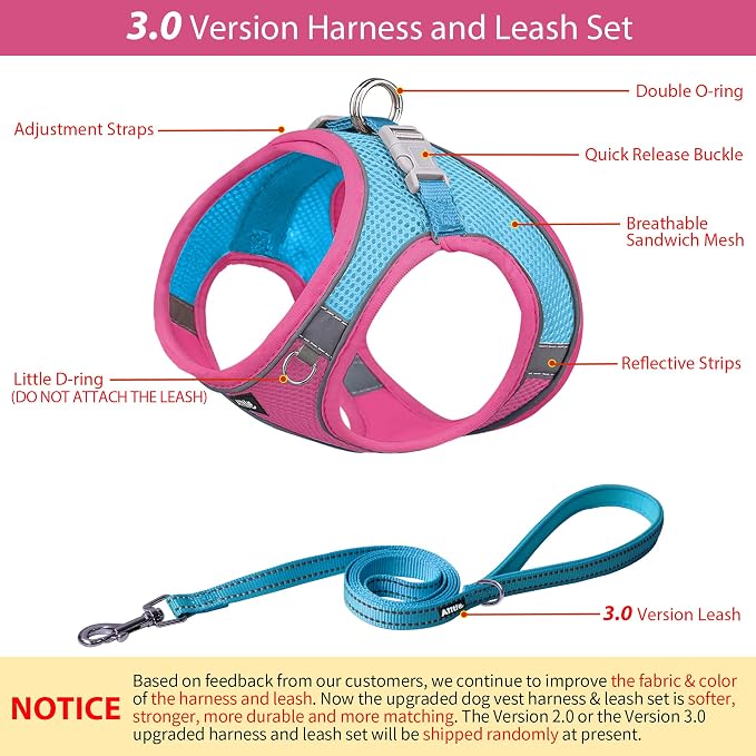 AIITLE Step in Dog Harness and Leash Set - Image 3