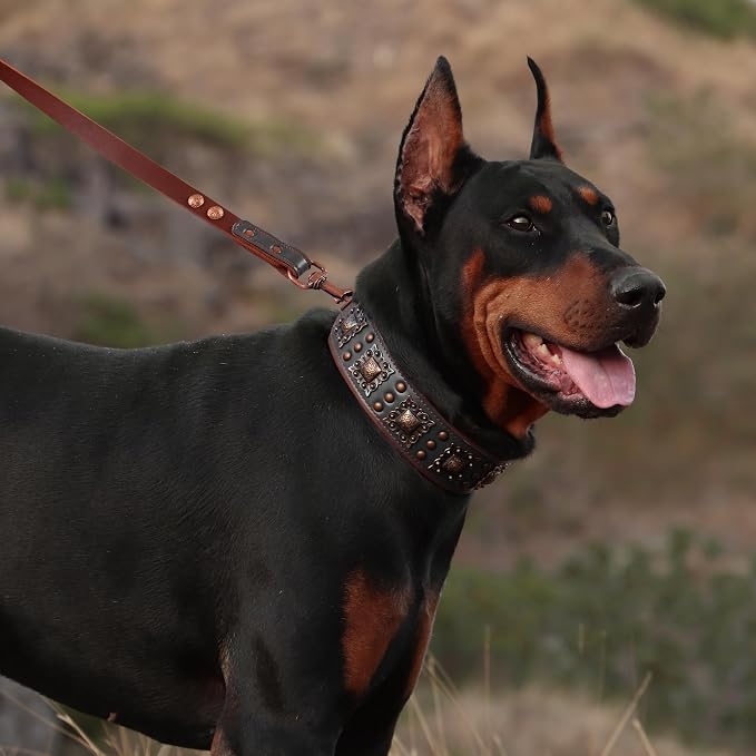 PET ARTIST Genuine Leather Dog Collar - Image 2