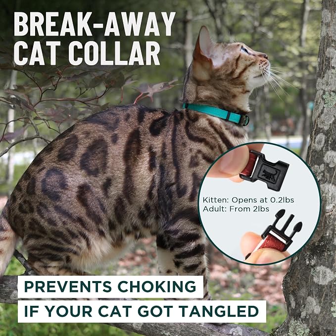 OutdoorBengal Black Cat Collar Breakaway, Soft Padding - Image 2