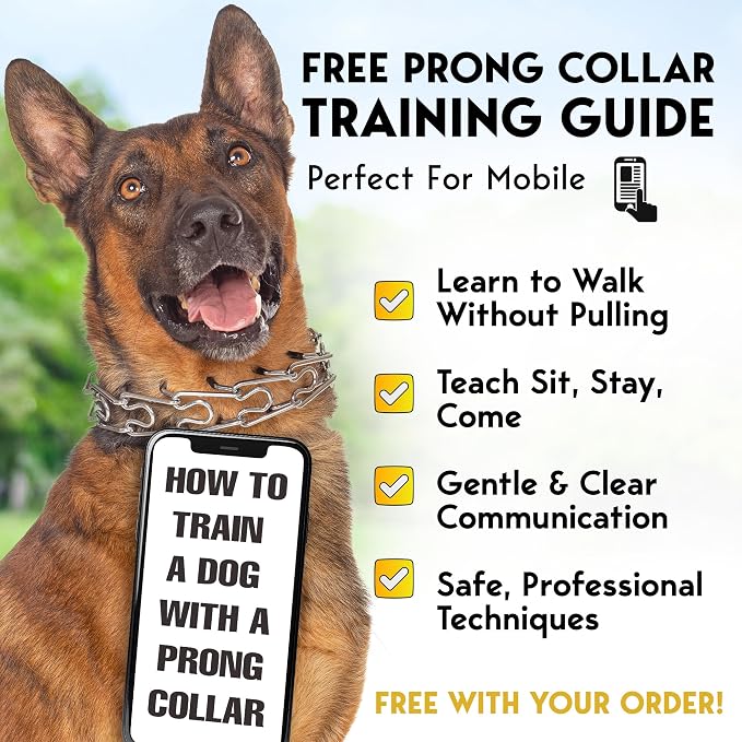 PetJett Prong Collar for Dogs - Image 4