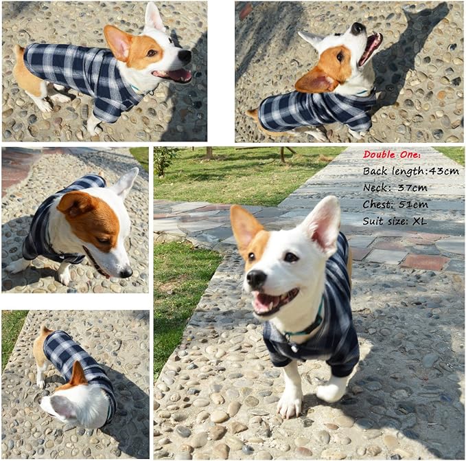 Koneseve Dog Shirt, Plaid Polo Clothes, Cat Puppy Grid Adorable Wearing Stylish - Image 6
