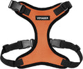 Voyager Step-in Pet Harness by BestPetSuppliesLLC