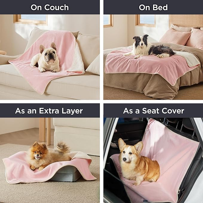 Bedsure Cat Blanket for Indoor Cats - Image 5