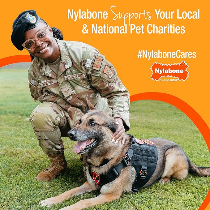 Nylabone Sensory Material Soothing Puppy Chew Toy Ring, Toys - Image 11