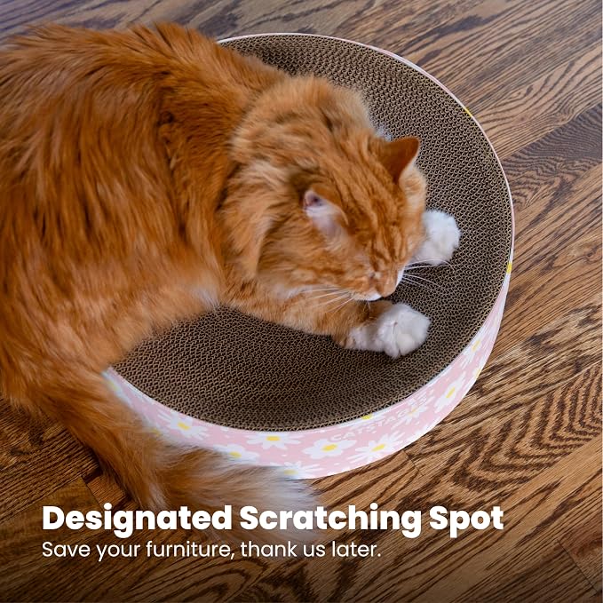 Catstages Scratch & Snuggle Daisy Two-in-One Corrugated Cat Scratcher and - Image 5